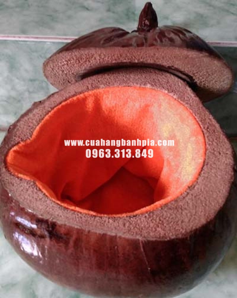 Bình giữ nhiệt trái dừa