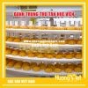 Hộp quà bánh trung thu Như Ý 2 bánh Tân Huê Viên - MS92 Hộp quà bánh trung thu Như Ý 2 bánh Tân Huê Viên - MS92